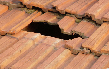 roof repair Bramerton, Norfolk